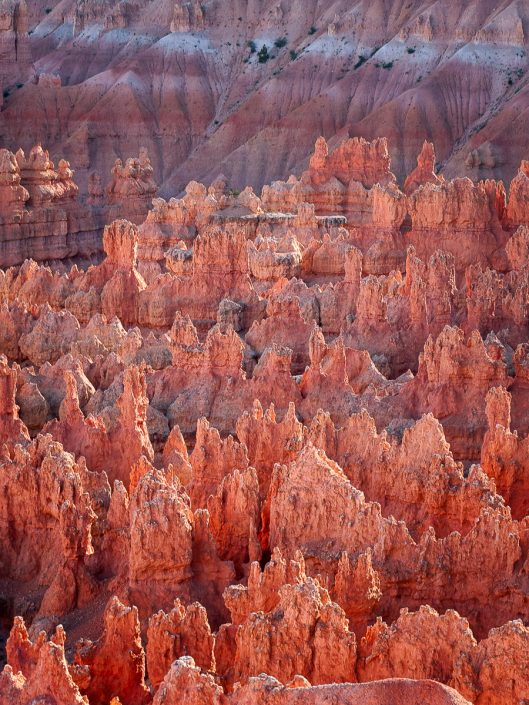 Bryce Canyon National Park, Utah