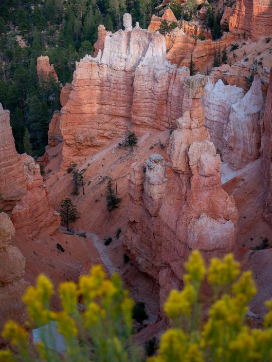 Bryce Canyon National Park, Utah