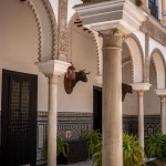 Sevilla, patio